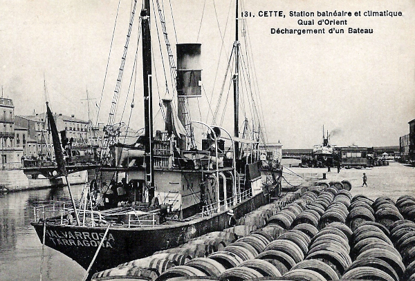 Malvarrosa - Colección de C. Kleiss Malvarrosa - Colección de C. Kleiss